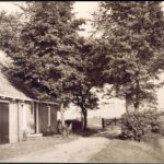 NR447g