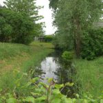 Nog een klein stukje van de oude gracht om het ‘Waltaslot’