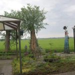 Beelden tuin van Ada Stel