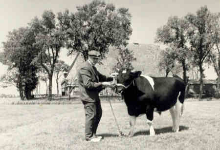 Cathrinus mei yn Bolle 23 Gaastra