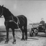 NR539