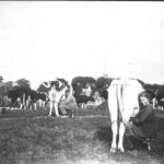 NR616