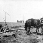 NR620