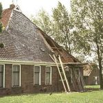 Singel224