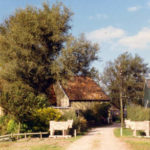 van Panhuysweg 8