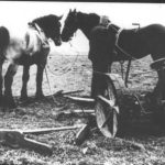 NR397 Jan Bootsma bij de paarden met maai machine