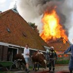 IMG 48455817Geelen