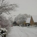 Winter012