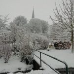 Winter039