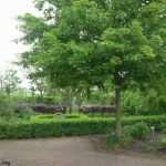 Ook dit is de Singel.