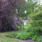 Een mooi doorkijkje aan de Waltaweg.