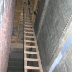 Vleermuis 03