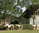 dagbestedingsamen1-785×127