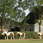 samen1