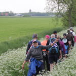 wandel11steden (1)