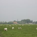 Parodialoop 2019 (229)