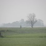 Parodialoop 2019 (236)